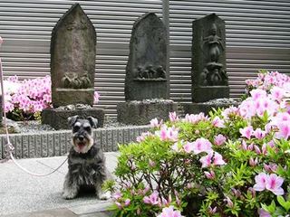 DSCN0822.jpg