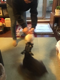 おねえちゃんと遊ぶ.jpg