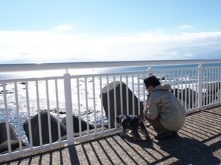 のぞきこむ.jpg