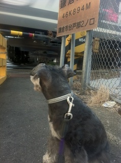 ふみきり.jpg