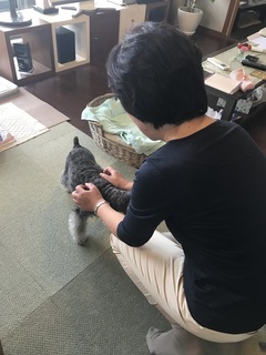 マッサージ2.jpg