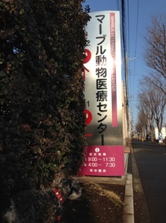 マーブル.jpg
