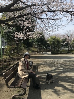 公園.jpg