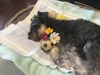 永眠.jpg