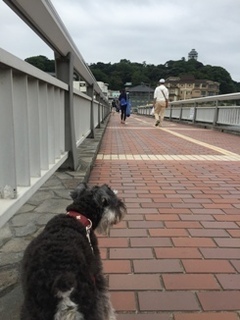江ノ島.jpg
