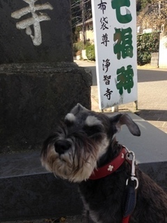浄智寺.jpg